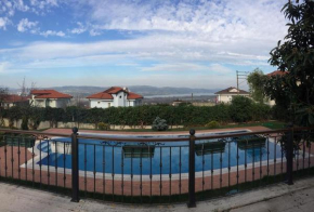 Kocaeli